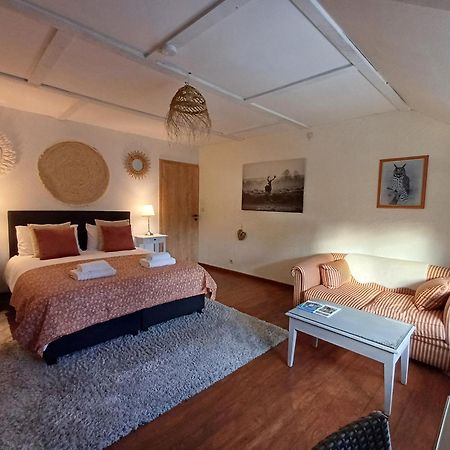 Les Gabelous - Chambre D'Hotes - Viroinval Dourbes Luaran gambar